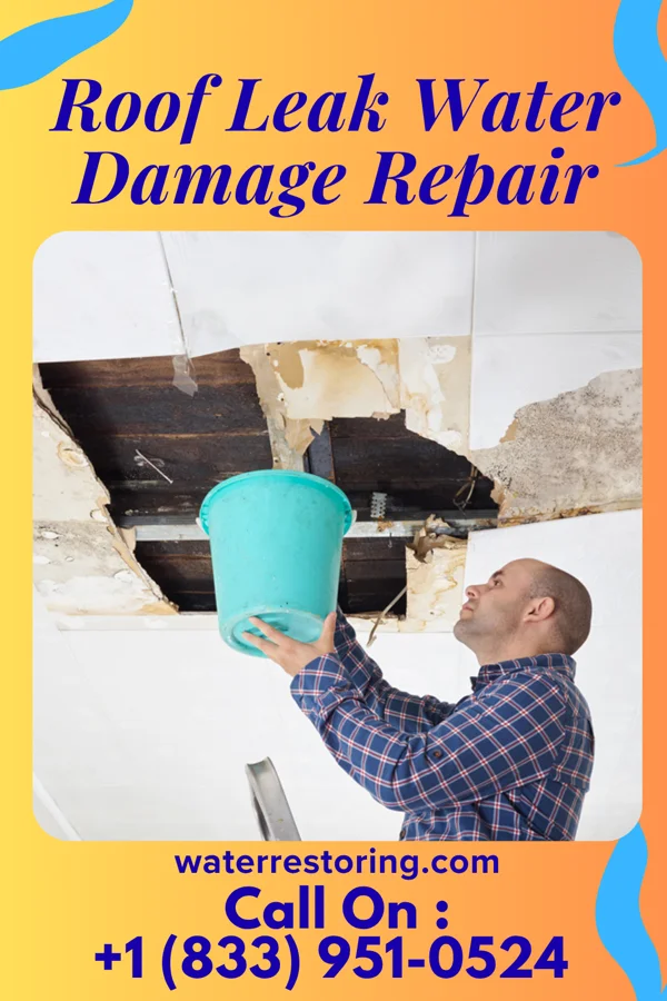 Roof Leak Water Damage Repair in Laceyville, PA